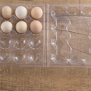 食品(pǐn)吸塑包裝(zhuāng)