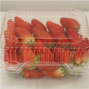 食品(pin)吸塑包裝應(yīng)用