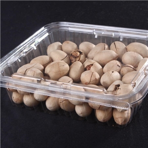 食(shi)品吸塑包裝(zhuāng)應用